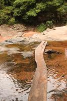 123 Amboro Nationalpark