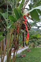 131 Refugio de los Volcanes