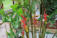 132 Refugio de los Volcanes