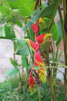 133 Refugio de los Volcanes