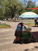 Spaziergang durch Sucre - Park Bolivar