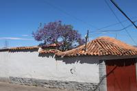 Spaziergang durch Sucre