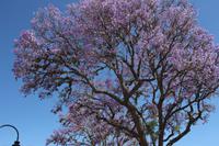 Spaziergang durch Sucre