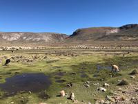 Fahrt von Potosí nach Uyuni durch das Andenhochland