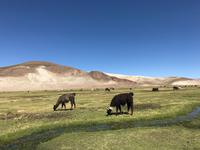 Fahrt von Potosí nach Uyuni durch das Andenhochland