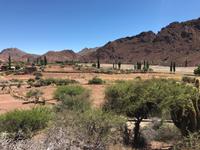 Fahrt von Potosí nach Uyuni durch das Andenhochland