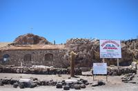 Insel Incahuasi auf dem Salar de Uyuni