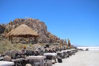 Insel Incahuasi auf dem Salar de Uyuni