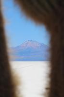 Insel Incahuasi auf dem Salar de Uyuni
