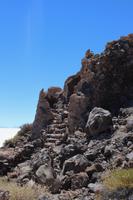 Insel Incahuasi auf dem Salar de Uyuni