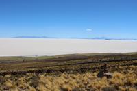 Blick auf den Salar de Uyuni