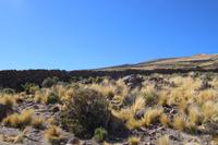 Spaziergang am Vulkan Thunupa auf dem Salar de Uyuni