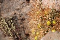 Spaziergang am Vulkan Thunupa auf dem Salar de Uyuni