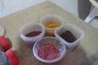 Verschiedene Quinoa-Arten