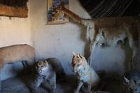 Heimatmuseum am Vulkan Thunupa auf dem Salar de Uyuni