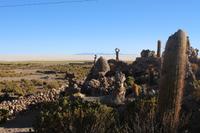 Steingarten am Vulkan Thunupa auf dem Salar de Uyuni