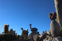Steingarten am Vulkan Thunupa auf dem Salar de Uyuni