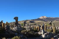 Steingarten am Vulkan Thunupa auf dem Salar de Uyuni