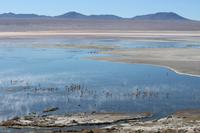 Laguna Colorada