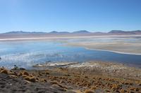 Laguna Colorada