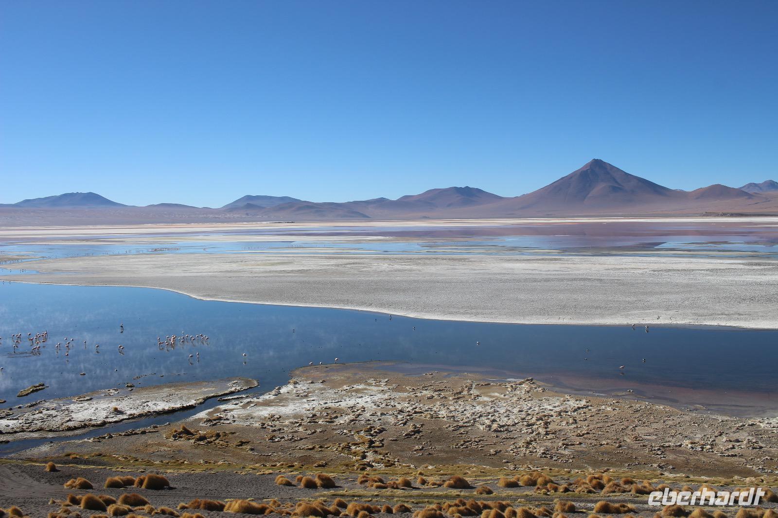 Laguna Colorada