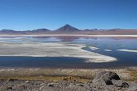Laguna Colorada