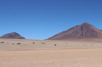 Salvador-Dali-Wüste