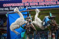 Hexenmarkt in La Paz