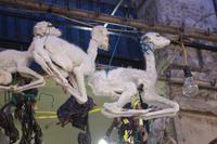 Hexenmarkt in La Paz