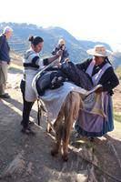 Esel tragen Gepäck zum Hafen auf der Sonneninsel