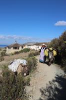 Esel tragen Gepäck zum Hafen auf der Sonneninsel