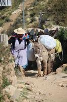 Sonneninsel - Titicacasee