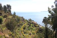 Sonneninsel - Titicacasee