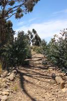 Mondinsel - Titicacasee