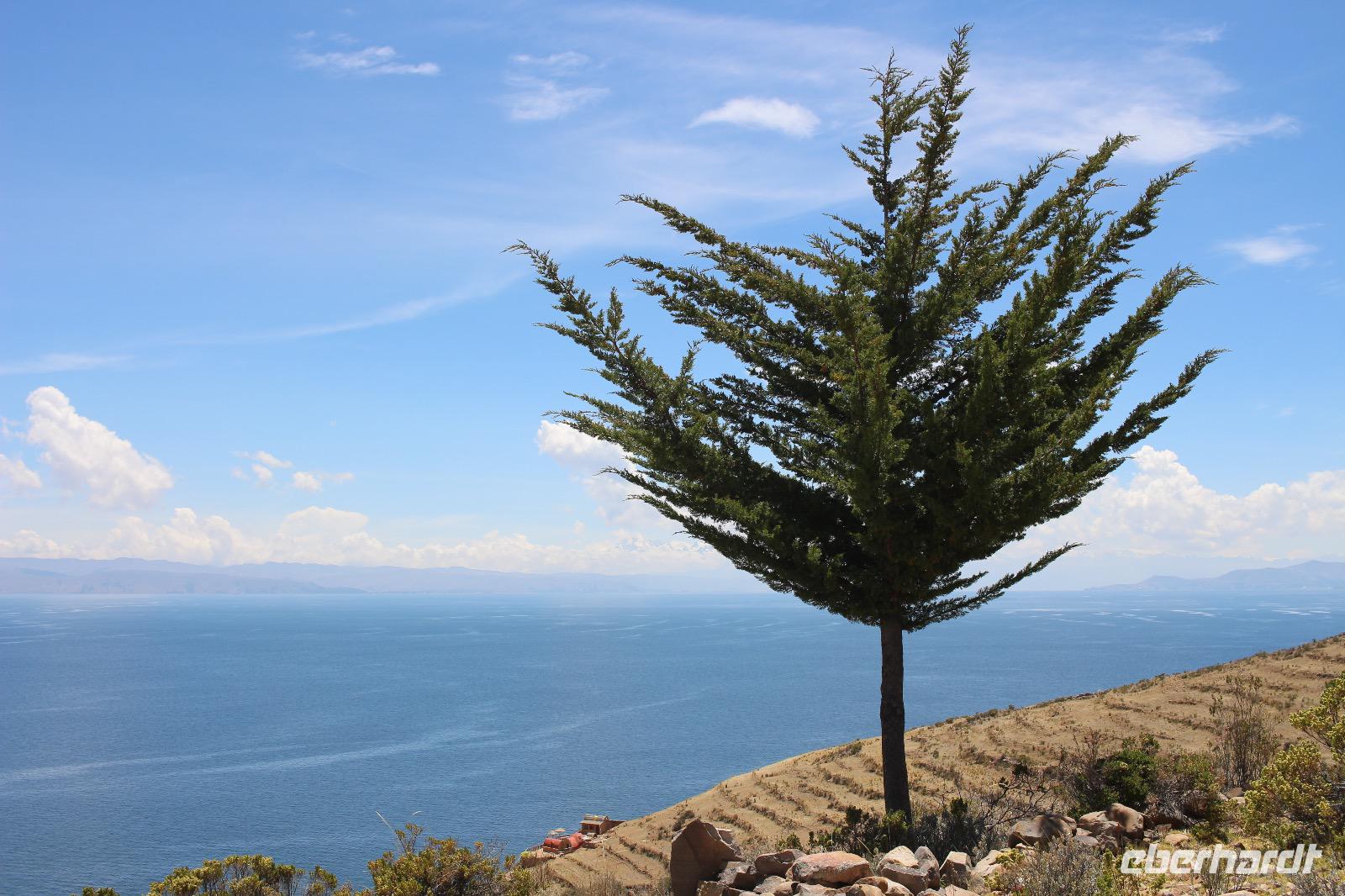 Mondinsel - Titicacasee