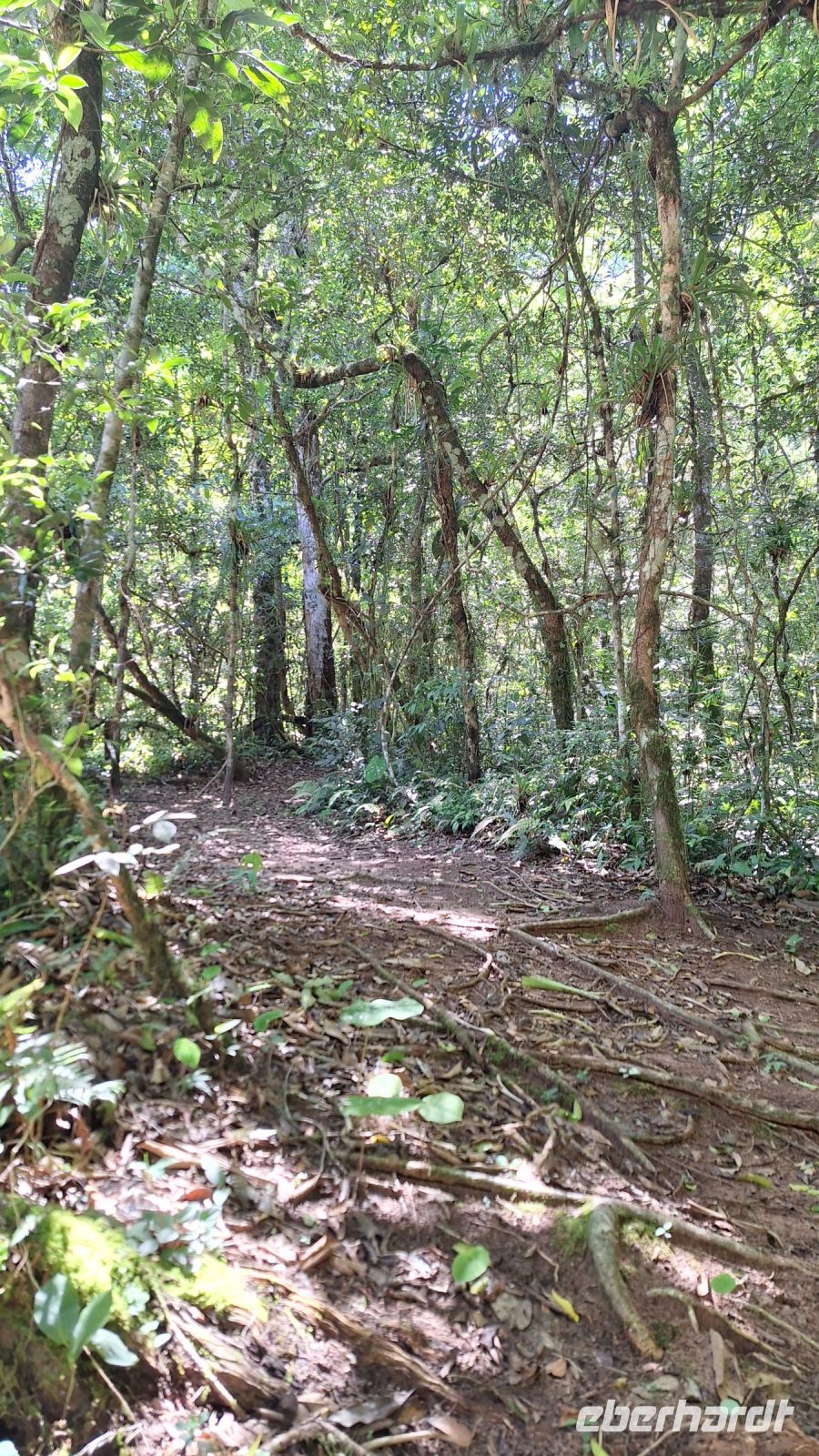 Wanderung im Amboro Nationalpark