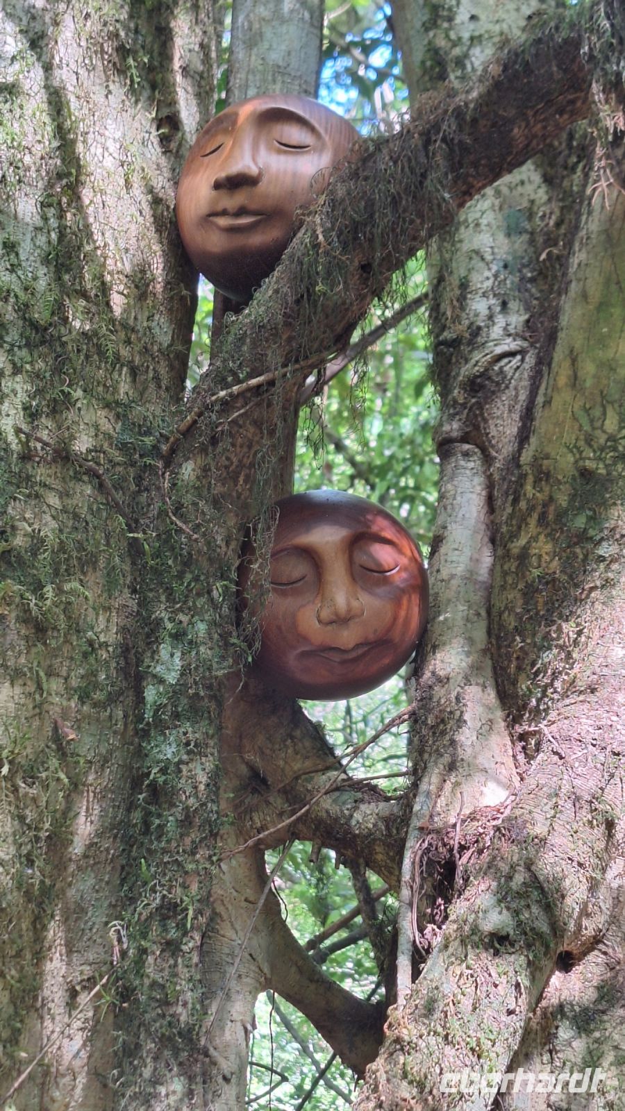 Wanderung im Amboro Nationalpark