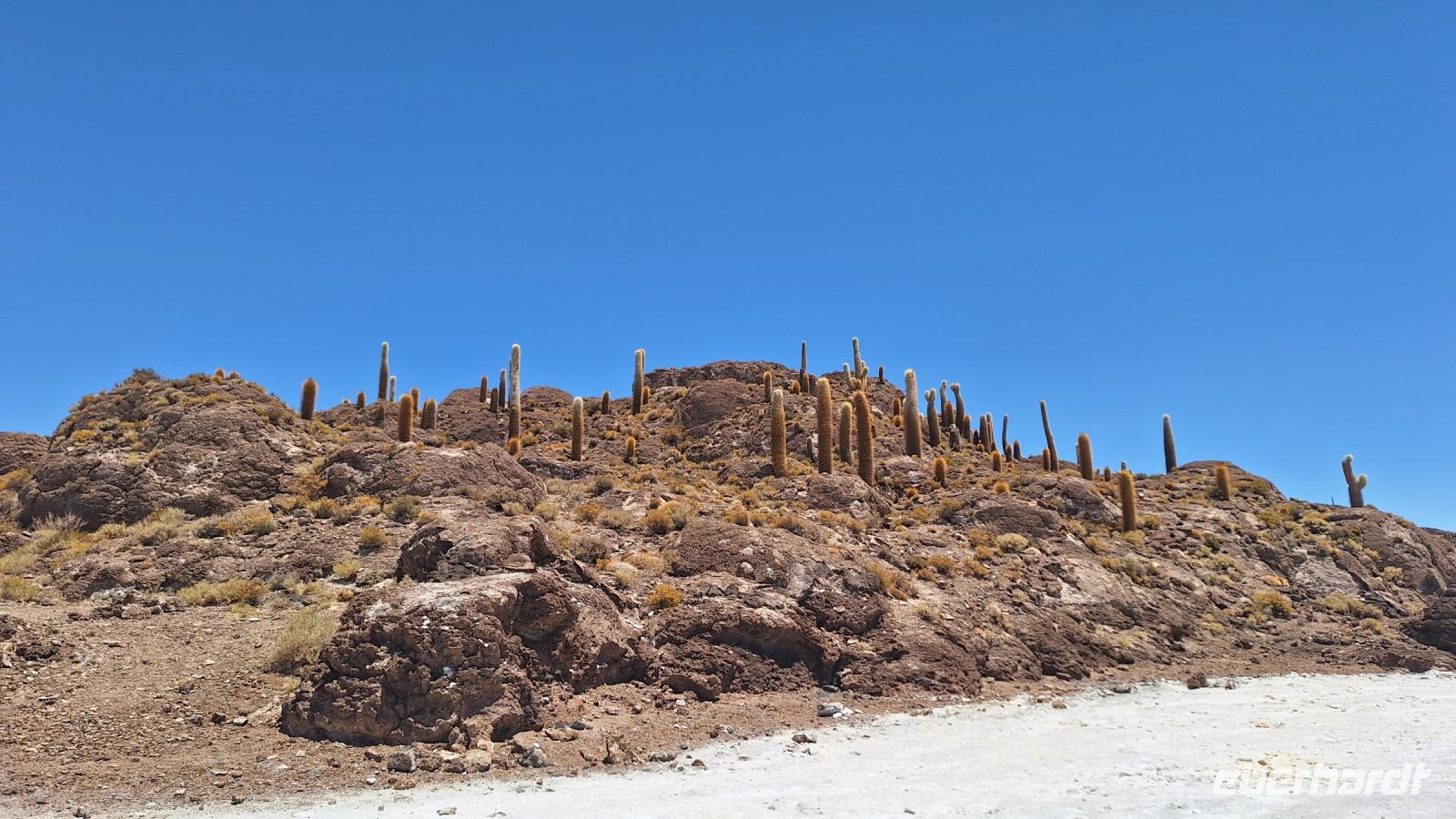 Uyuni Salzsee: Insel Incahuasi