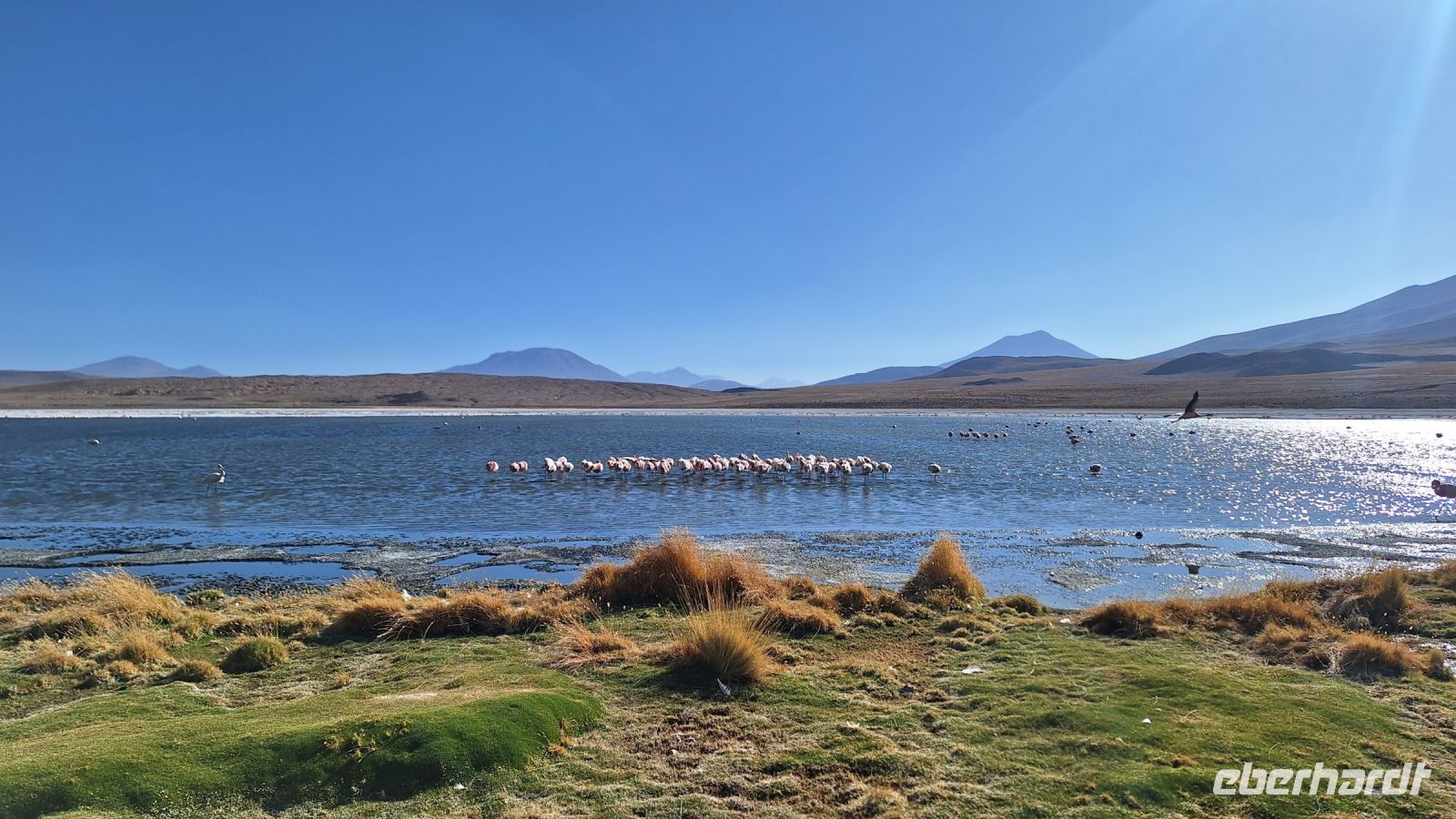 Laguna Cañepa