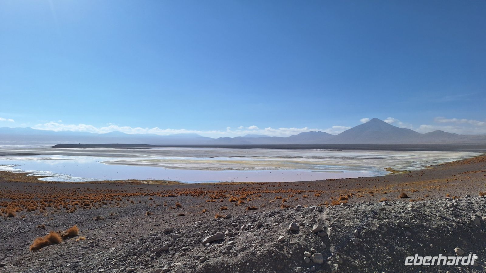 Laguna Colorada