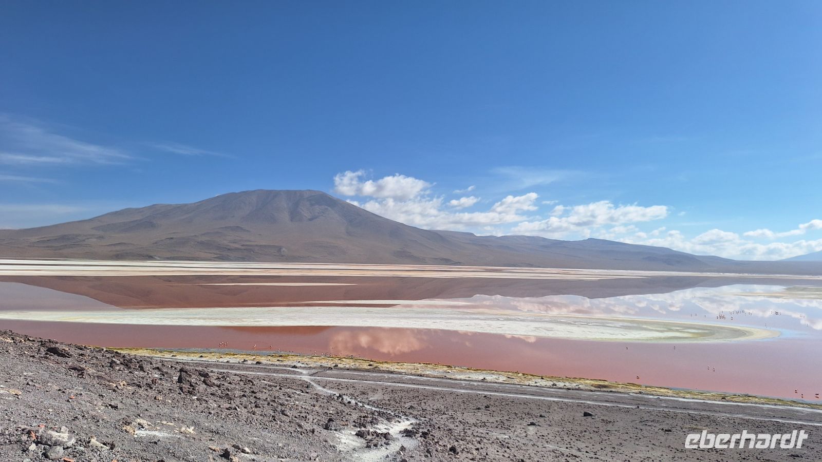 Laguna Colorada