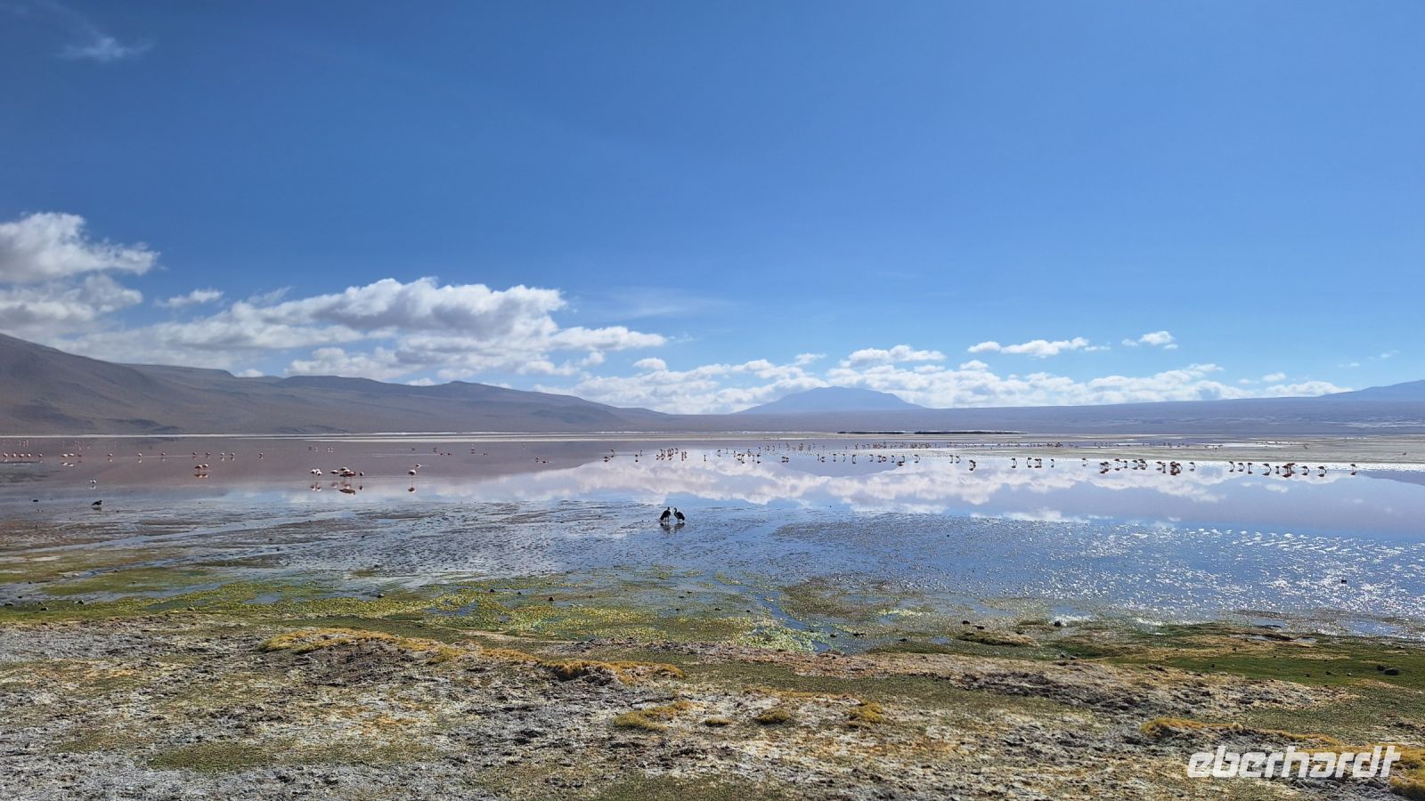 Laguna Colorada