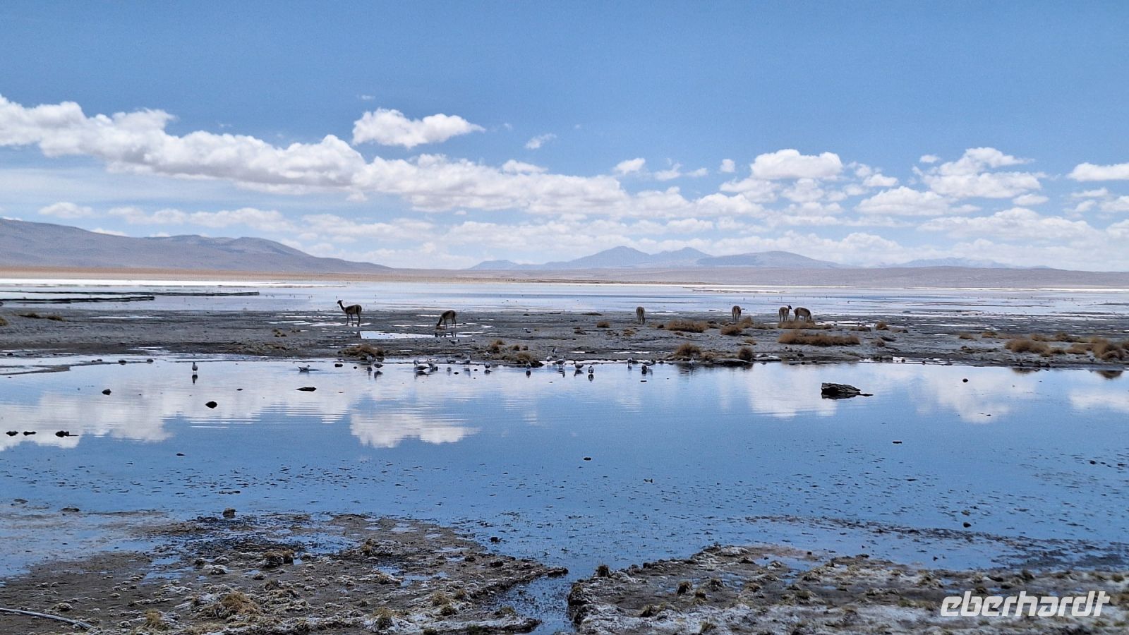 Laguna Salada
