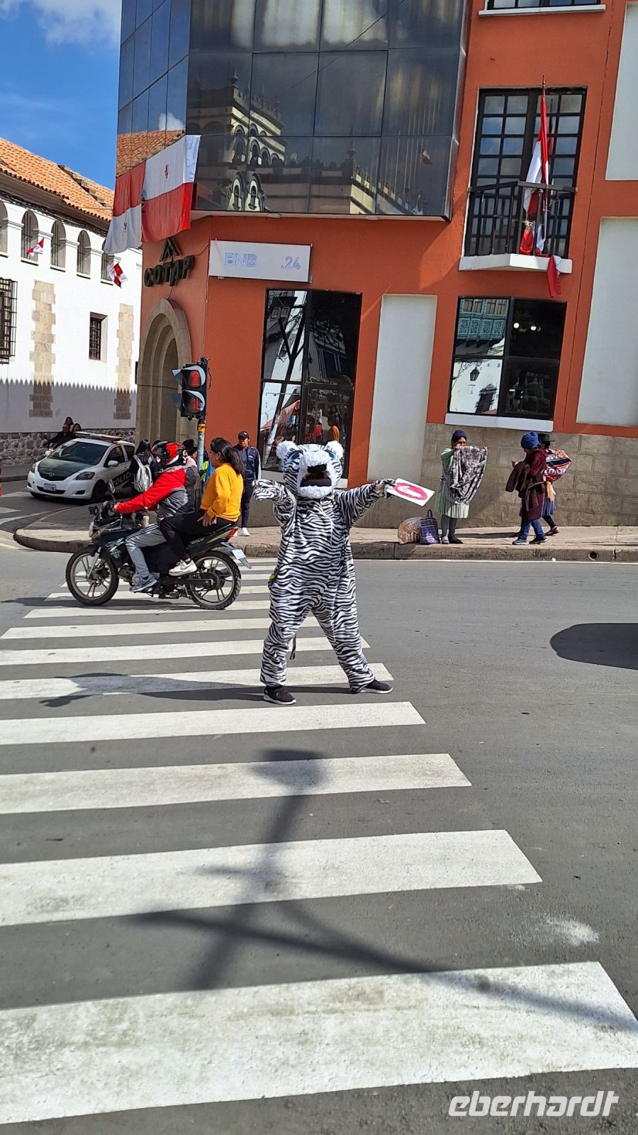 Potosí: Zebrastreifen-Zebra