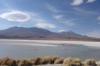 Besuch der Hochland-Lagunen Canapa, Honda und Hedionda in Bolivien (18)