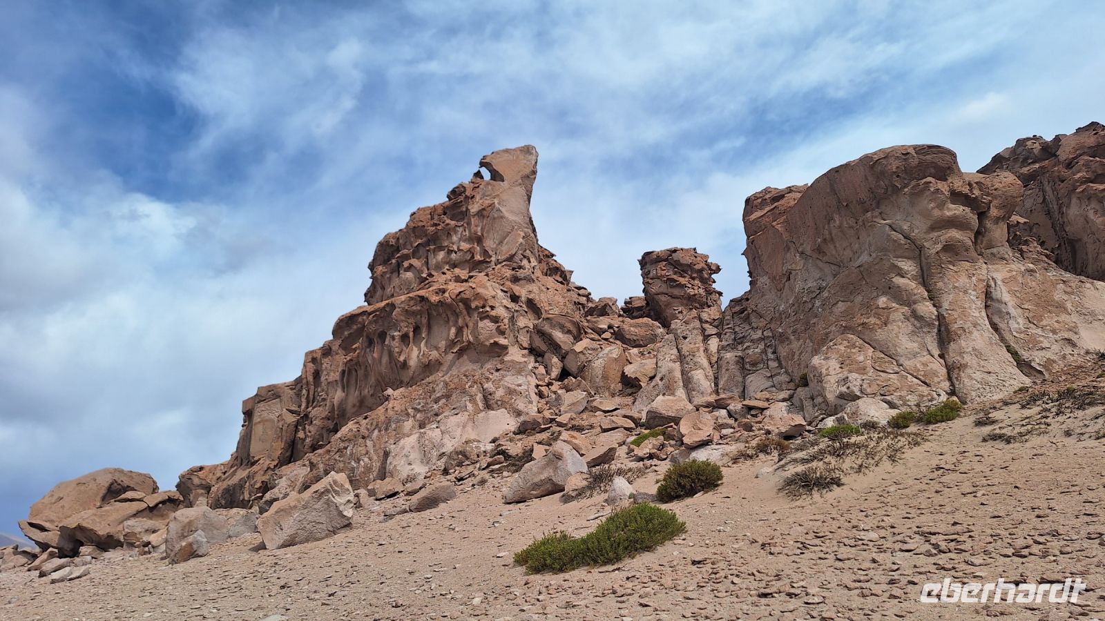 Bosque de Piedras