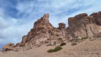 Bosque de Piedras