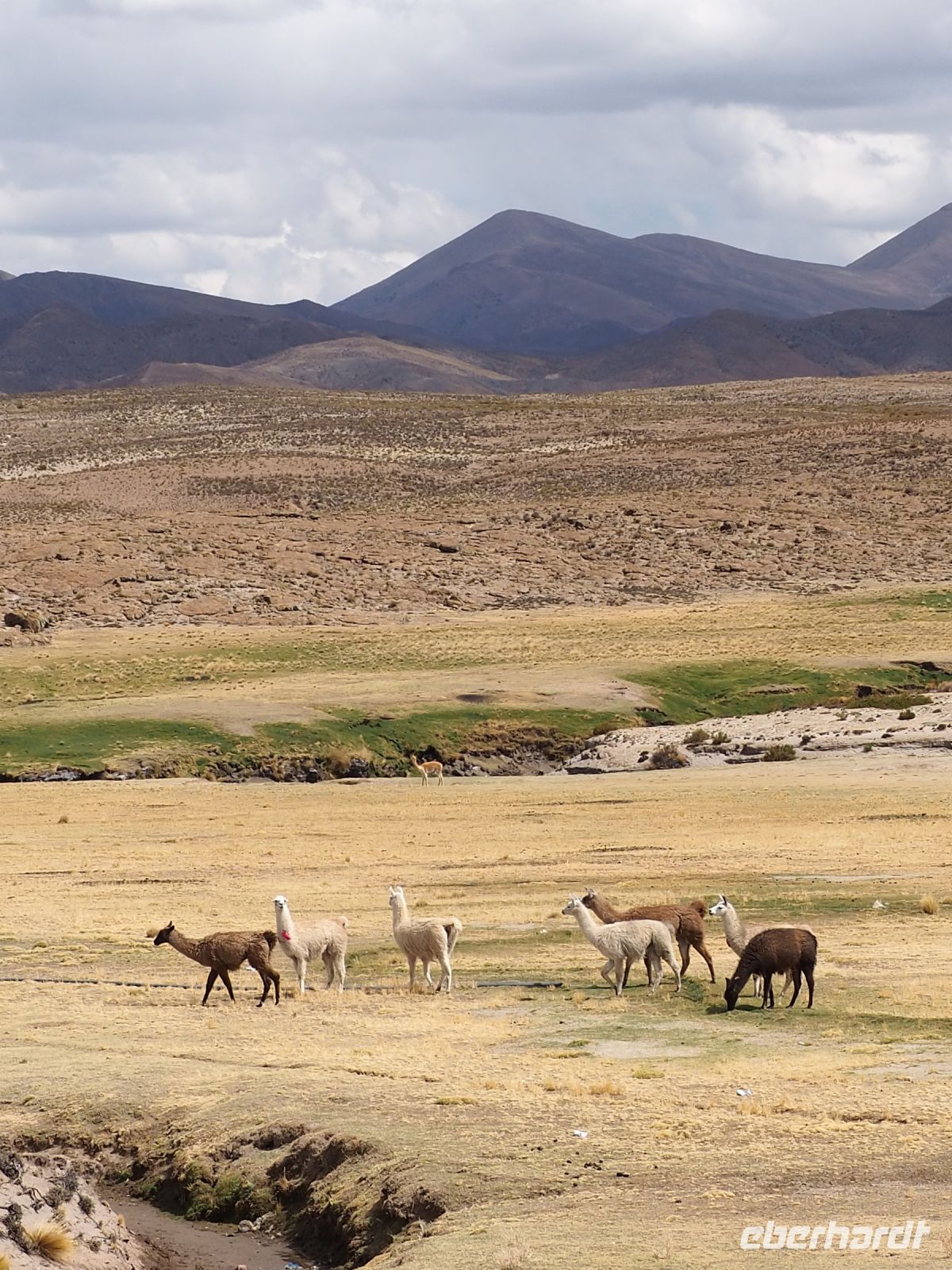 Fahrt nach Uyuni