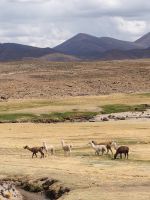 Fahrt nach Uyuni