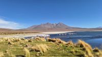 Laguna Cañepa